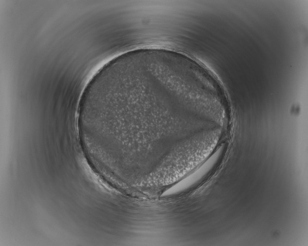 X0000111190932200907151346