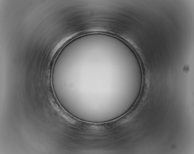 X0000111190933200907151346