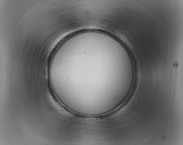 X0000111190934200907151346