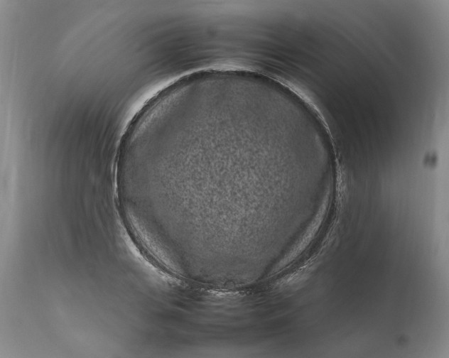 X0000111190935200907151346