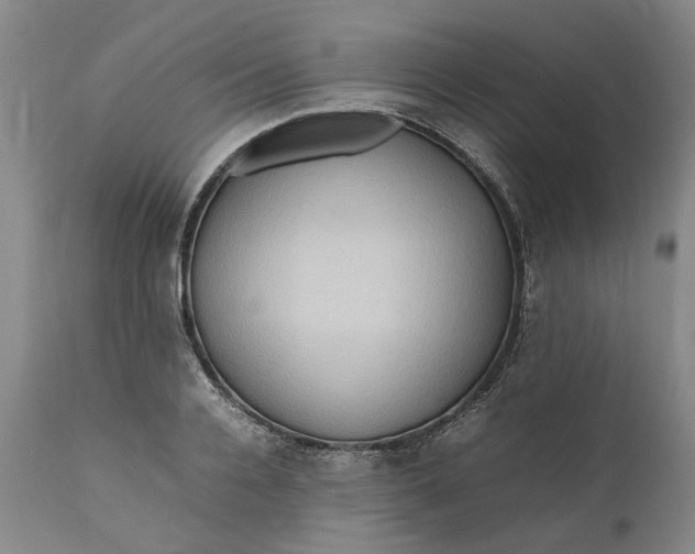 X0000111190936200907151346