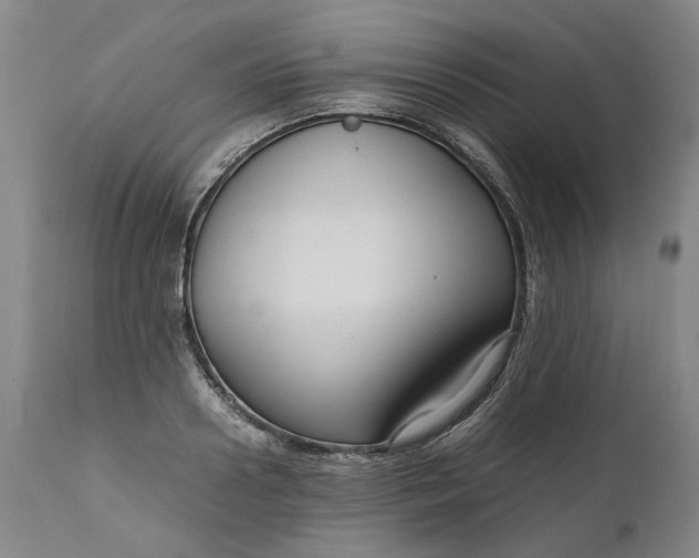 X0000111190938200907151346