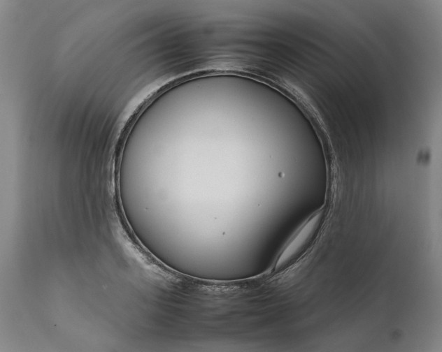 X0000111190939200907151346