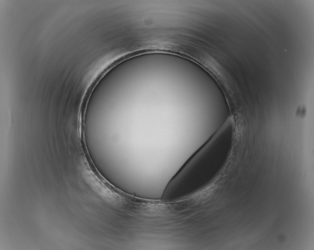 X0000111190940200907151346