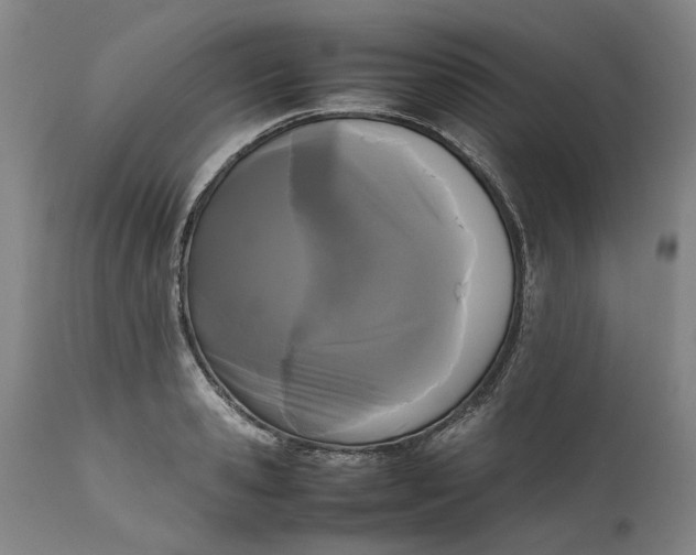 X0000111190941200907151346