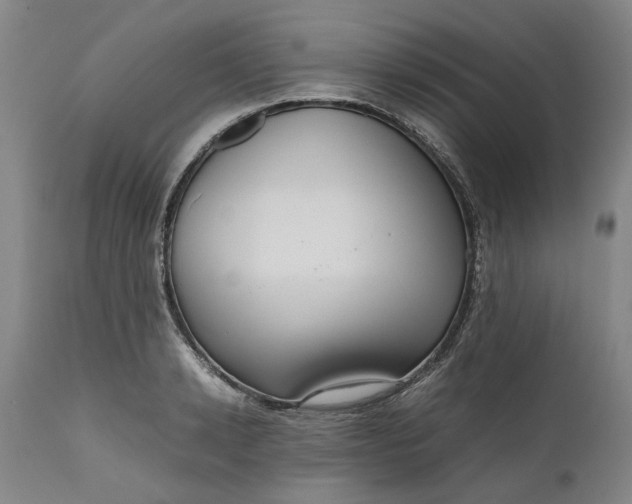 X0000111190942200907151346