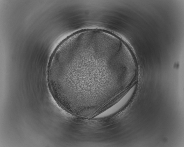 X0000111190943200907151346