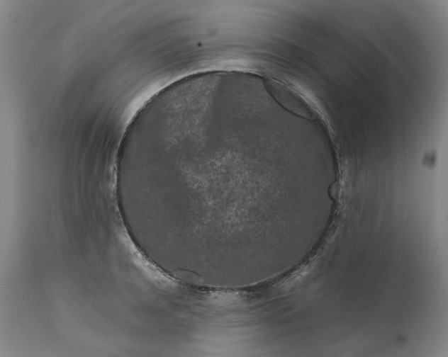 X0000111190944200907151346