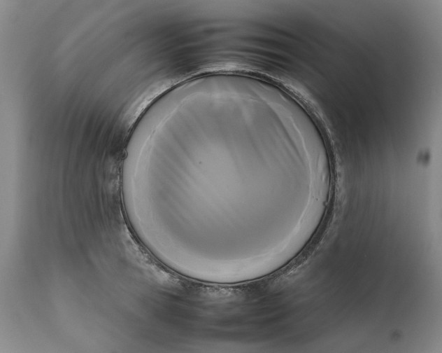 X0000111190945200907151346