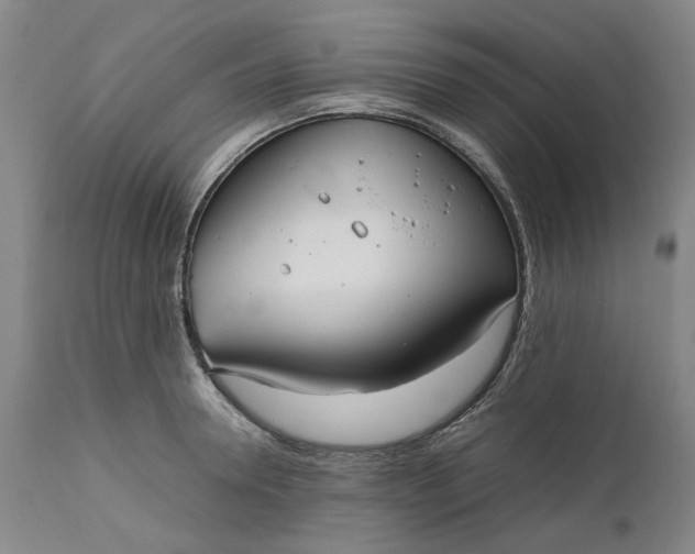 X0000111190946200907151346