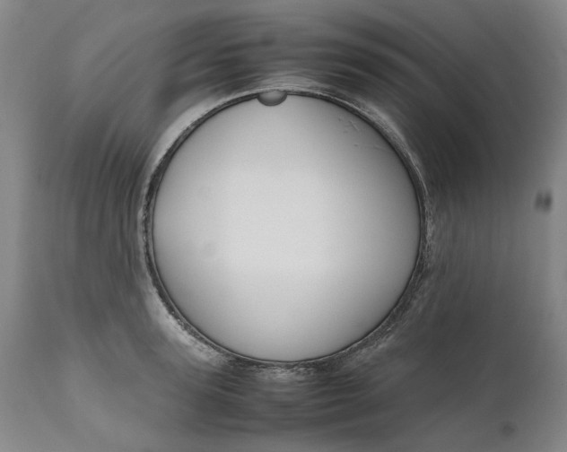 X0000111190947200907151346