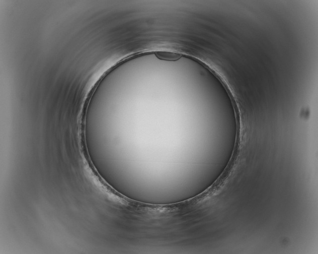 X0000111190949200907151346