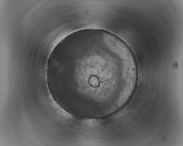 X0000111190950200907151346