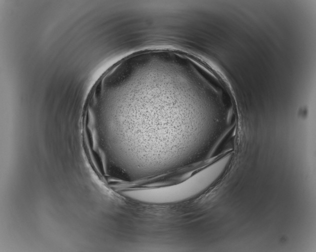 X0000111190951200907151346