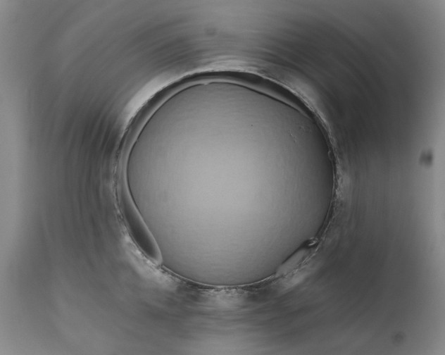 X0000111190952200907151346