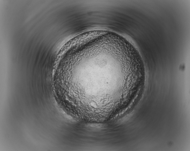 X0000111190953200907151346