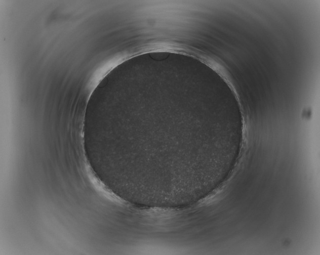 X0000111190954200907151346