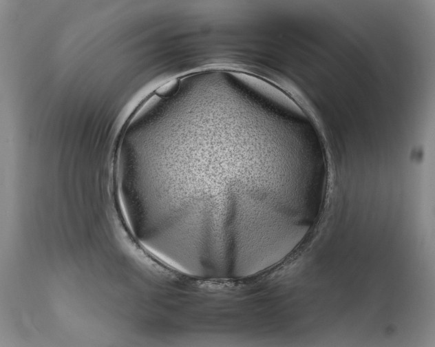 X0000111190955200907151346