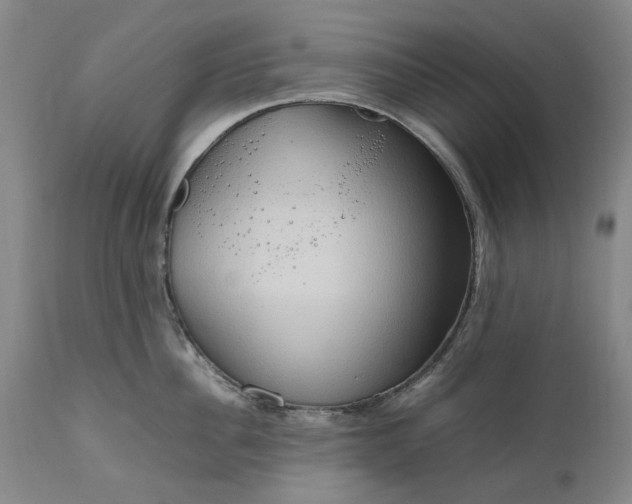 X0000111190956200907151346