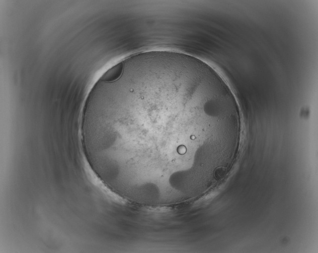 X0000111190957200907151346