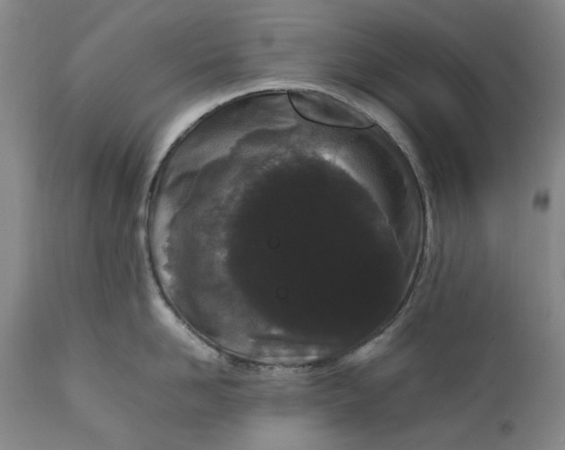 X0000111190958200907151346