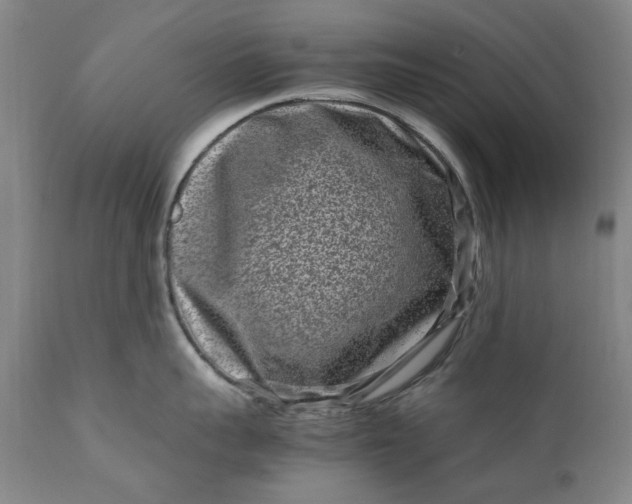 X0000111190959200907151346