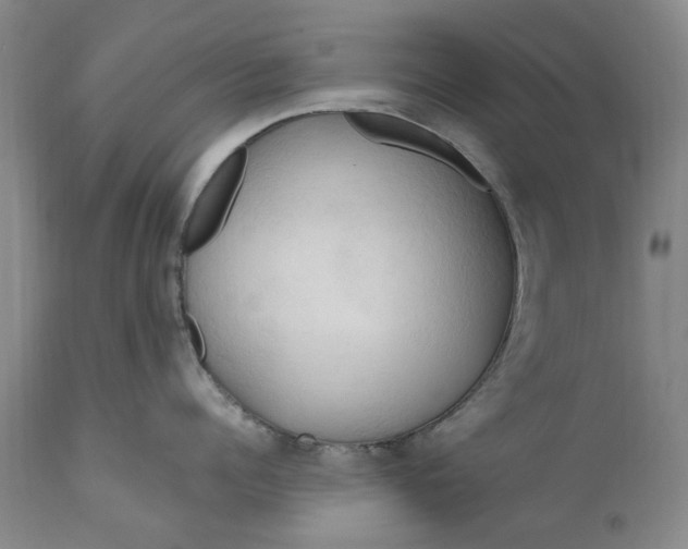 X0000111190960200907151346