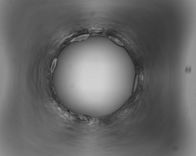 X0000111190961200907151345