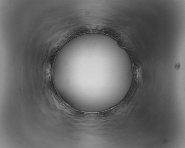 X0000111190963200907151345