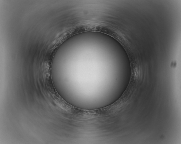 X0000111190964200907151345