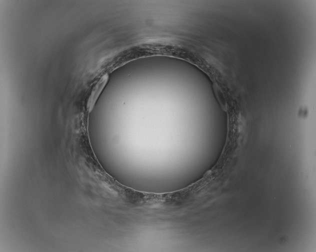 X0000111190965200907151345