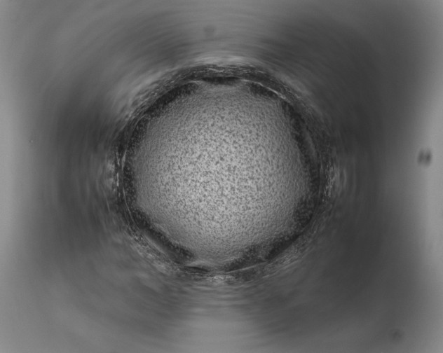 X0000111190966200907151345