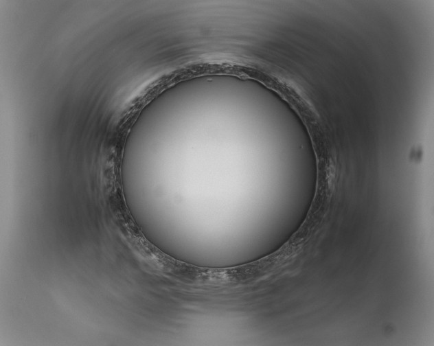 X0000111190968200907151345