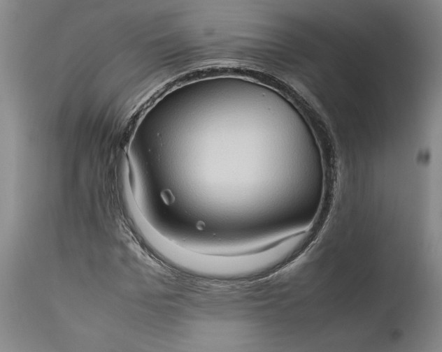 X0000111190969200907151345