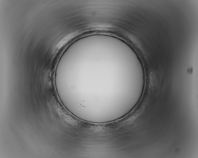 X0000111190970200907151345