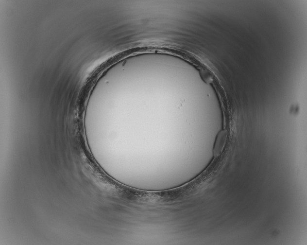 X0000111190971200907151345