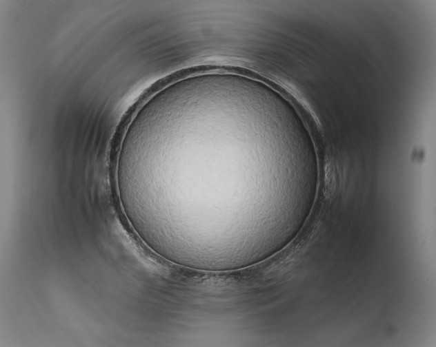 X0000111190972200907151345