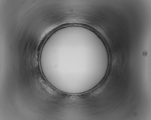 X0000111190974200907151345