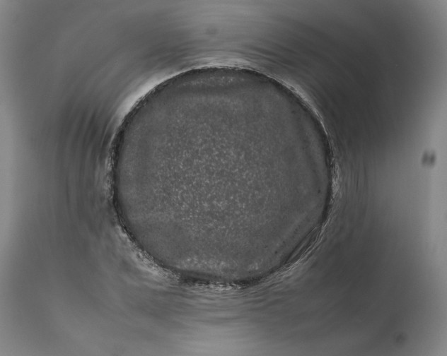 X0000111190975200907151345