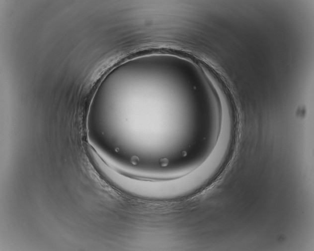 X0000111190977200907151345