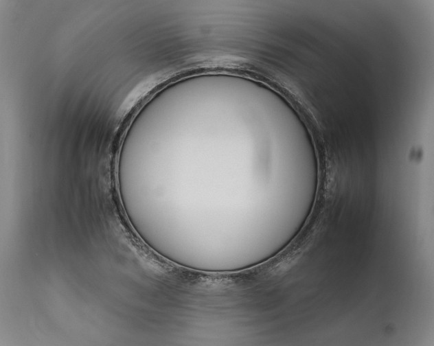 X0000111190978200907151345