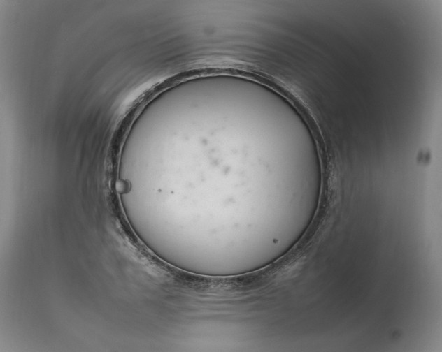 X0000111190979200907151345