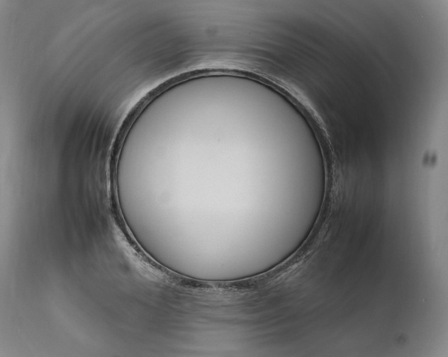 X0000111190980200907151345