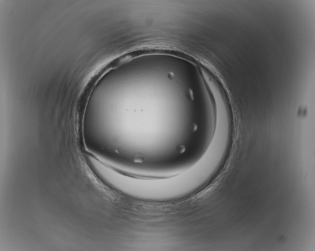 X0000111190981200907151345