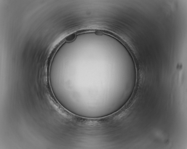 X0000111190982200907151345