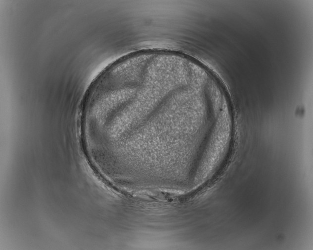 X0000111190983200907151345