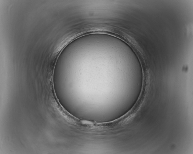 X0000111190985200907151345