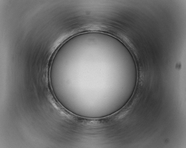 X0000111190986200907151345