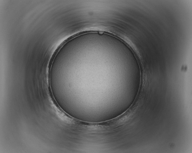 X0000111190988200907151345