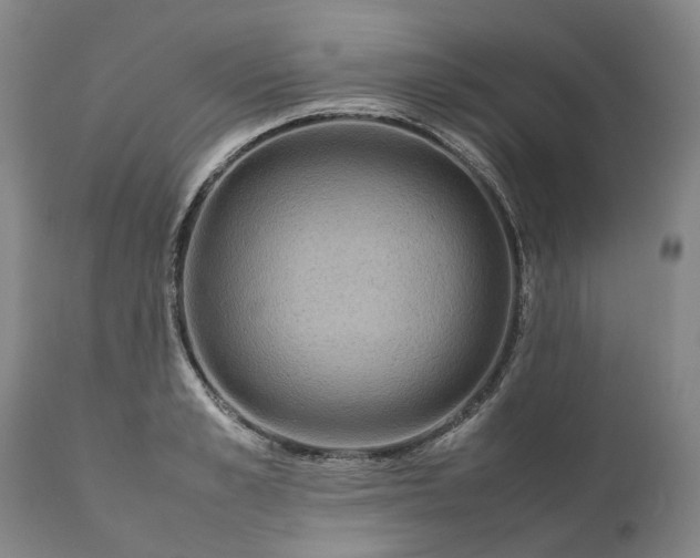 X0000111190989200907151345